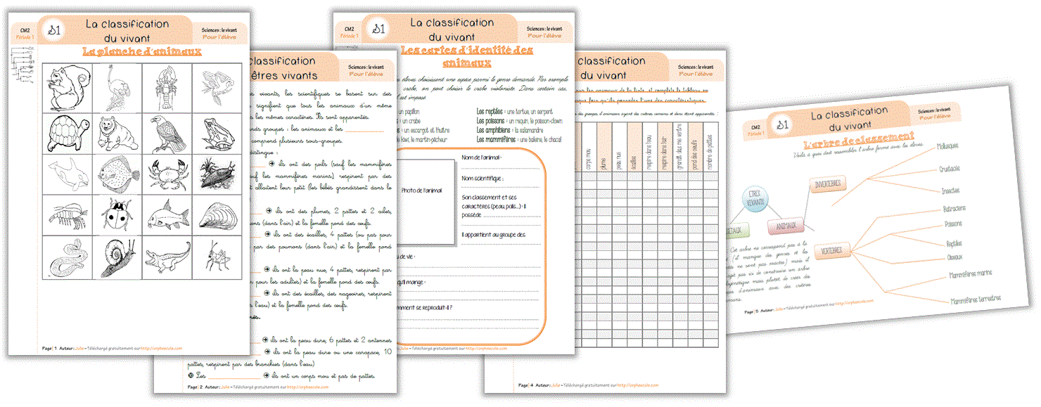évaluation Sciences Ce2 Les êtres Vivants Pdf