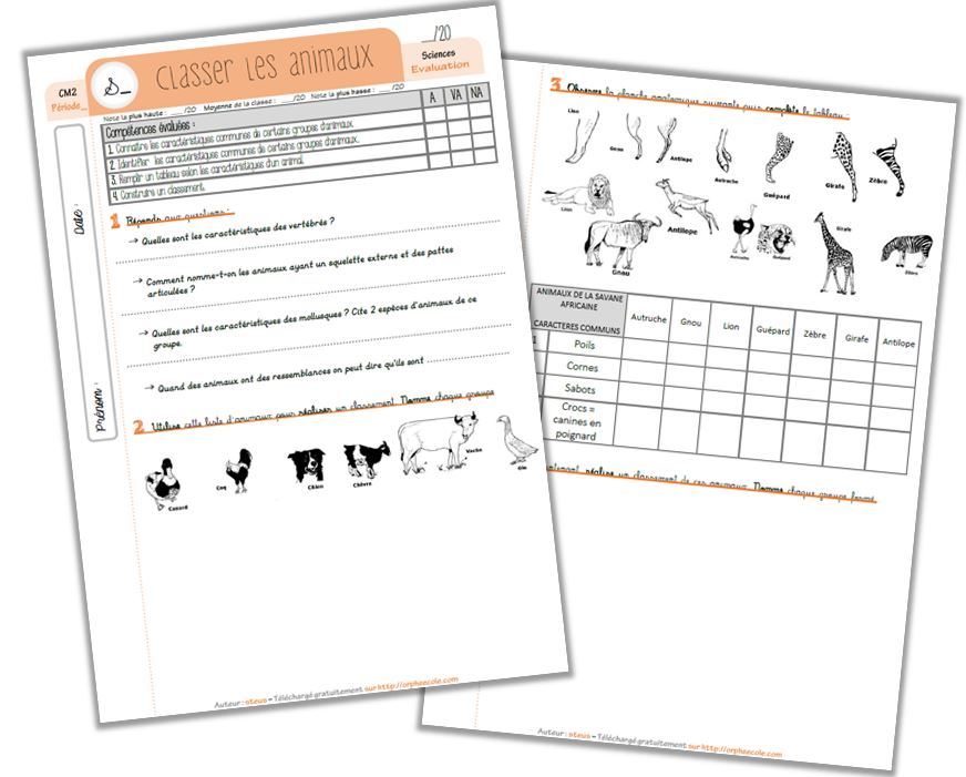 évaluation Svt 6ème Classification Des êtres Vivants Pdf