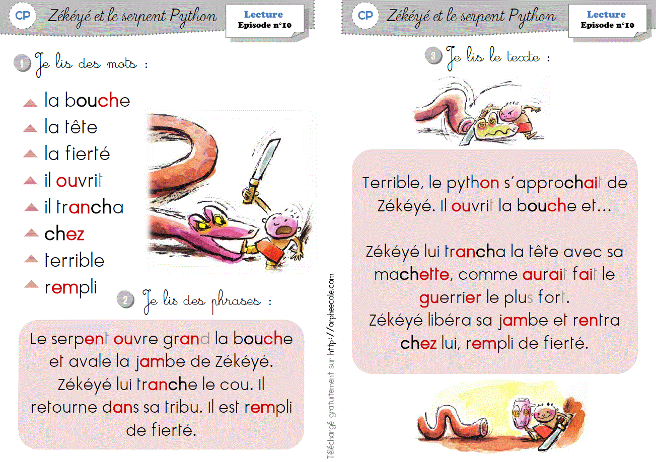 Z k y Et Le Serpent Python Orph ecole